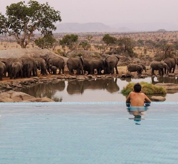 Do you really need to spend on excluded items in Tanzania?