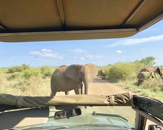 Tips on getting the best out of the tour guides in Tanzania