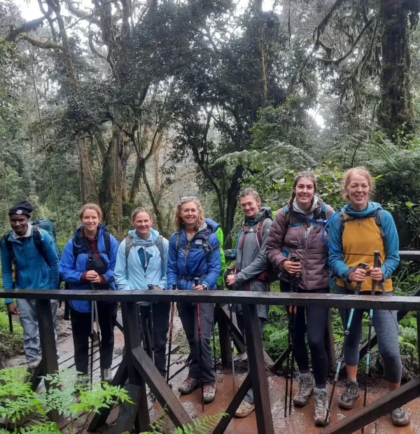 Mount Kilimanjaro Day Tour