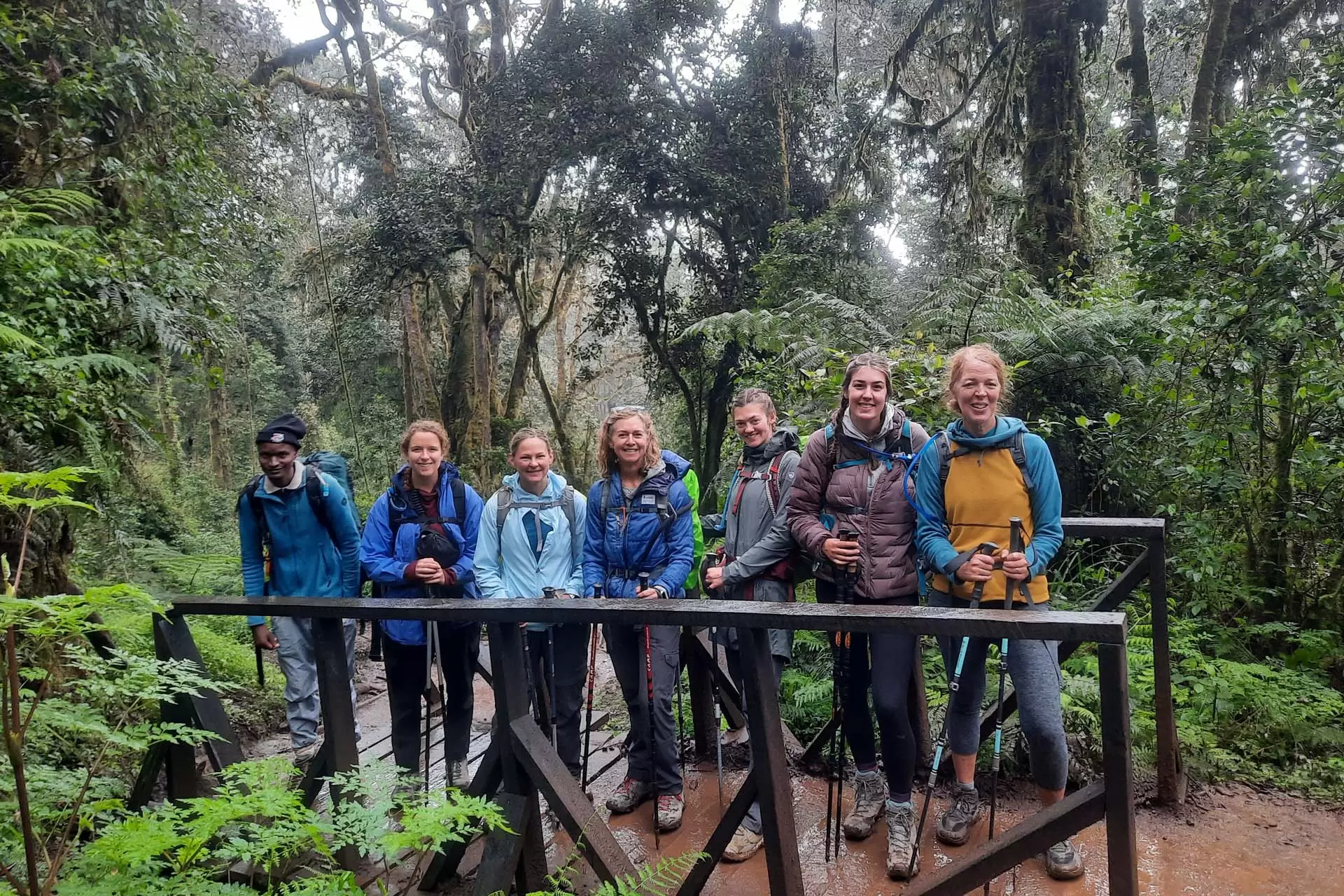 Mount Kilimanjaro Day Tour