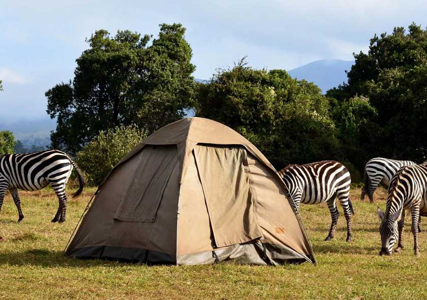 6 Days Budget Safaris Camping