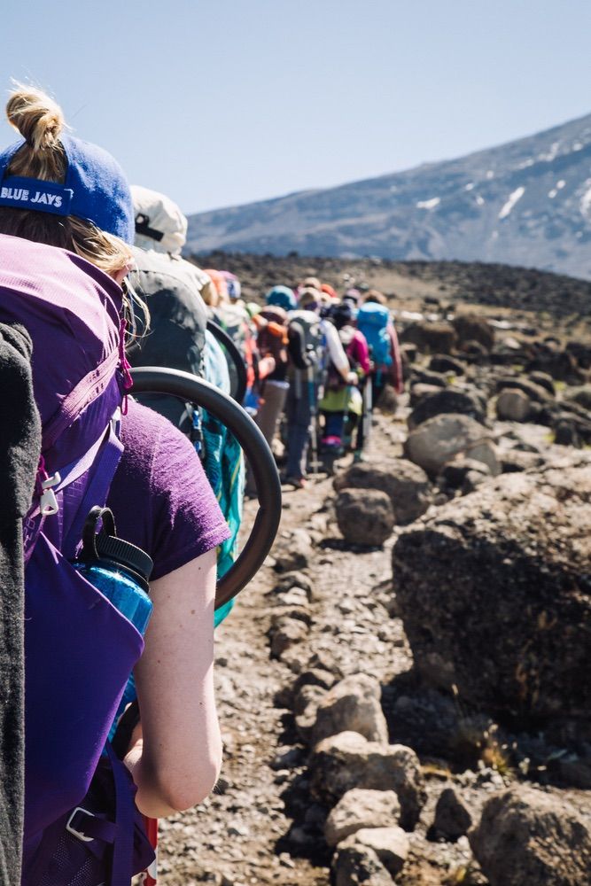 7 days Kilimanjaro hike via Lemosho Route