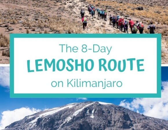 8 Day Kilimanjaro Trekking Tour via Lemosho Route