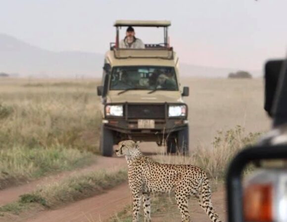 4 Days safari Tarangire ,Serengeti & Ngorongoro crater (Budget Camping Safari)