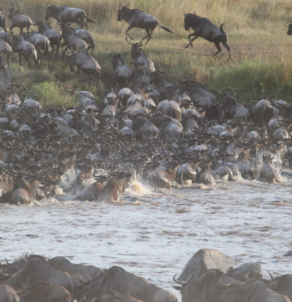 8-Day Migration River Crossing (Private lodge)