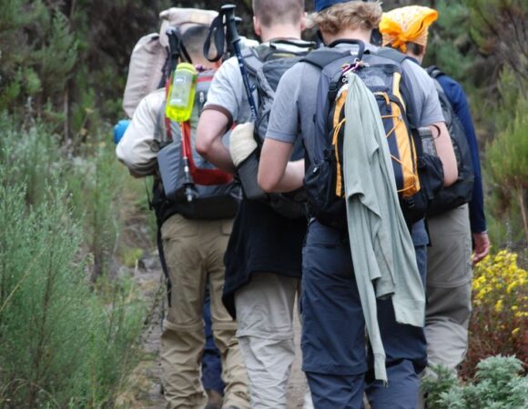 7 Day Kilimanjaro Hike via RONGAI