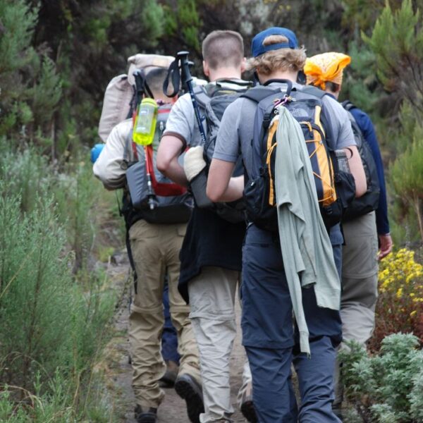 7 Day Kilimanjaro Hike via RONGAI