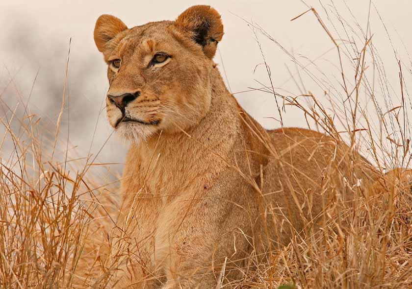 Mount Meru National Park