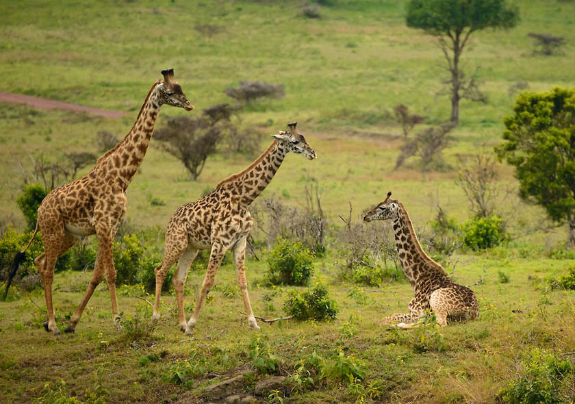 Arusha National Park