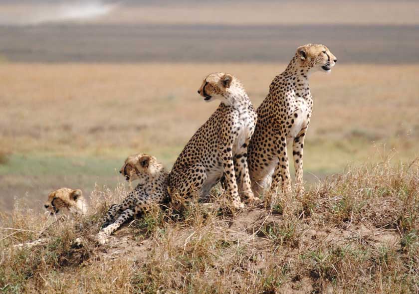 Serengeti National Park